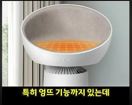 LG전자 근황.jpg_3.webp