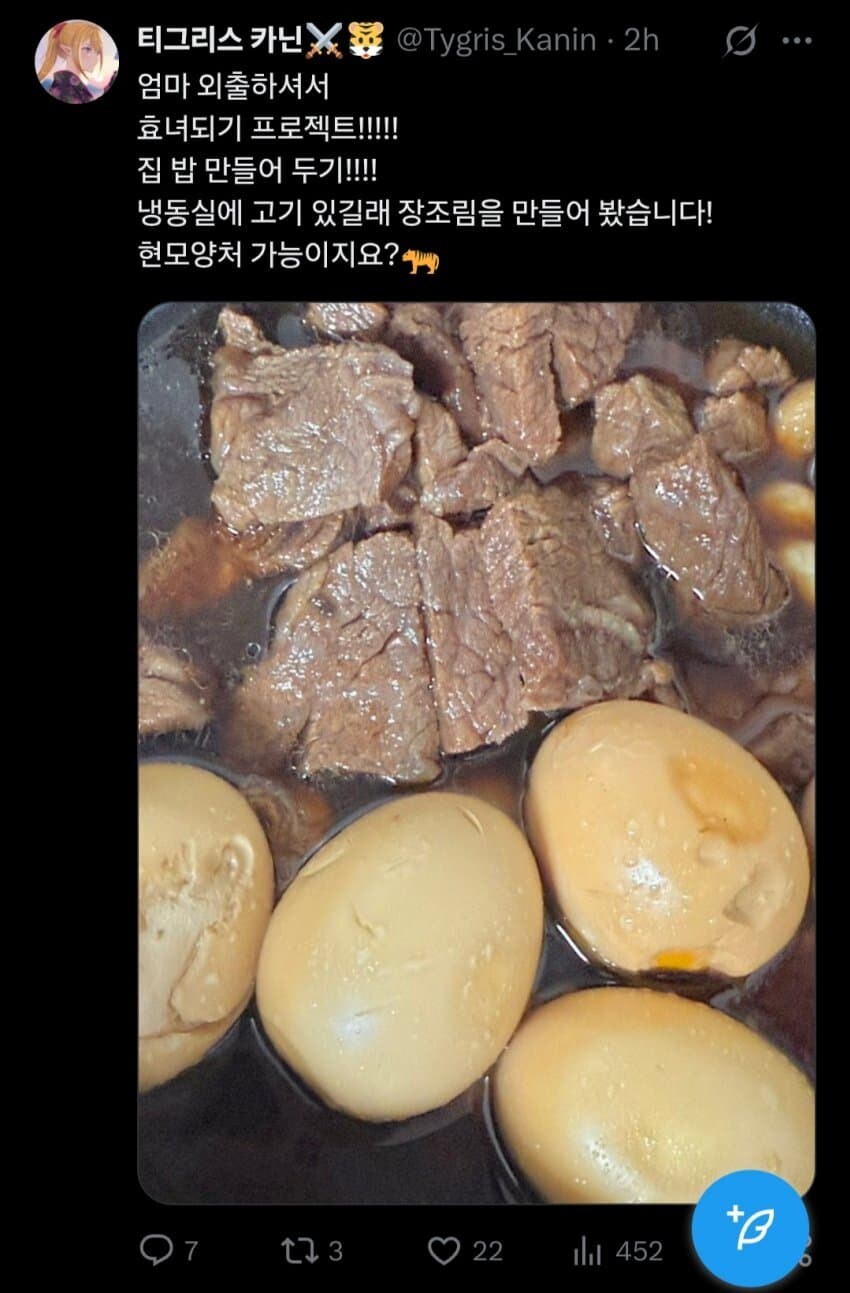 효녀가 되고 싶었던 버튜버