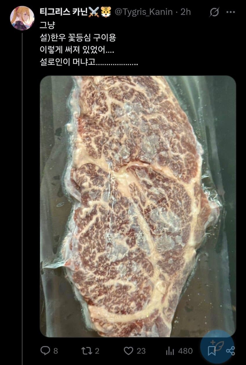 효녀가 되고 싶었던 버튜버_6.jpg
