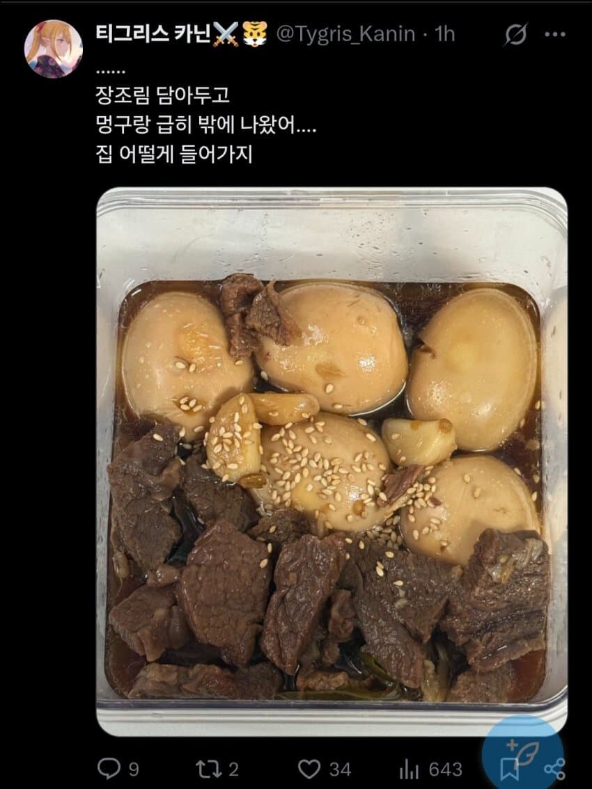 효녀가 되고 싶었던 버튜버_7.jpg