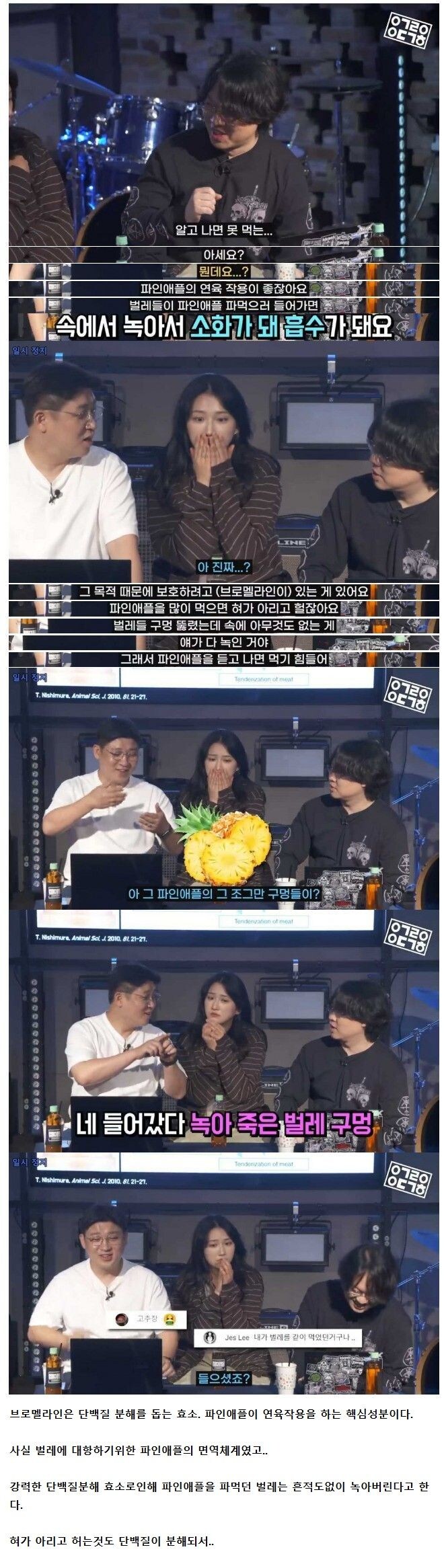 파인애플에 구멍이 많은 이유
