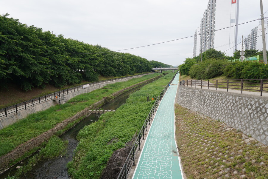 5월, 김포장릉 탐조_2.jpg