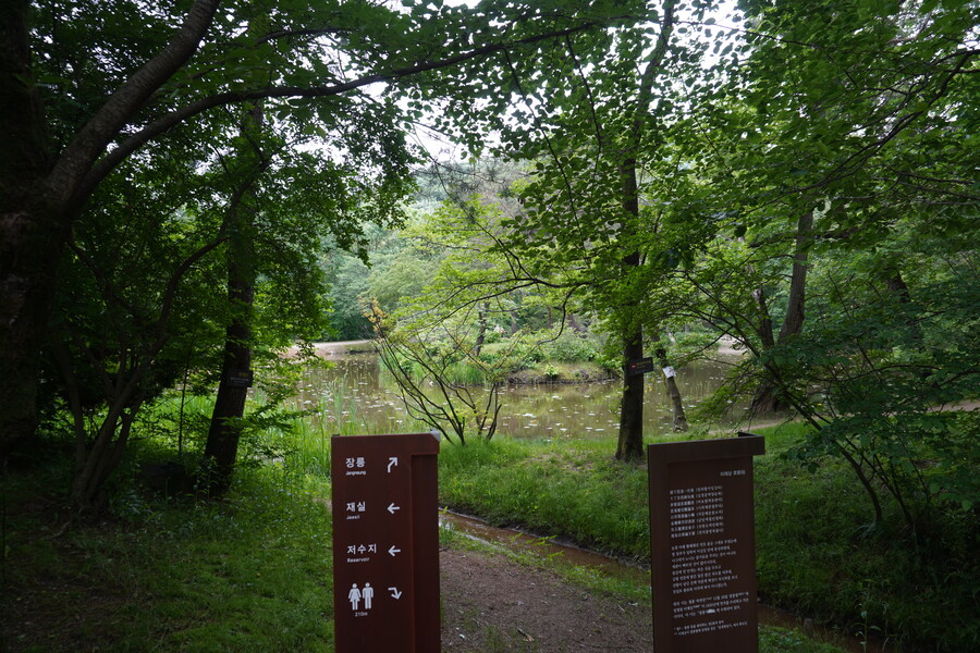 5월, 김포장릉 탐조_20.jpg