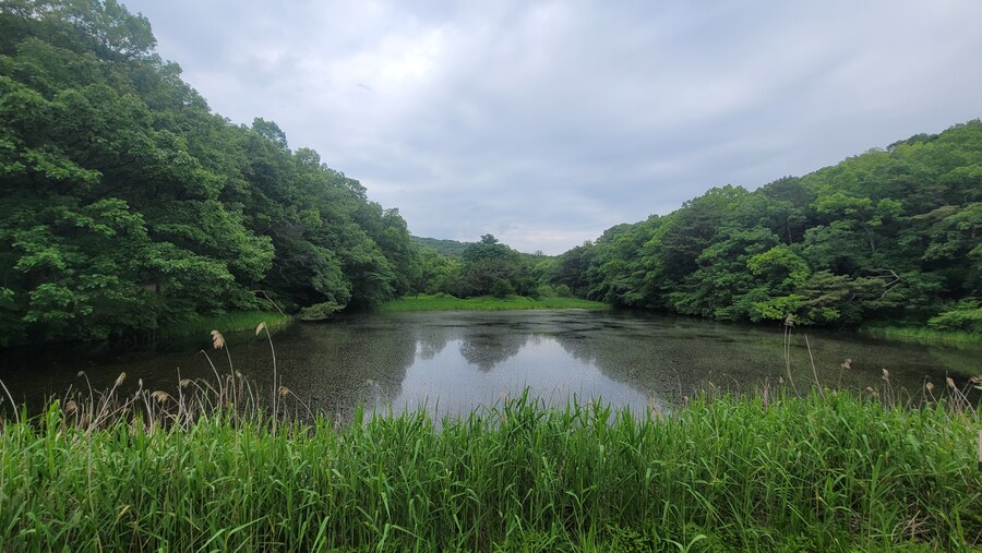 5월, 김포장릉 탐조_35.jpg