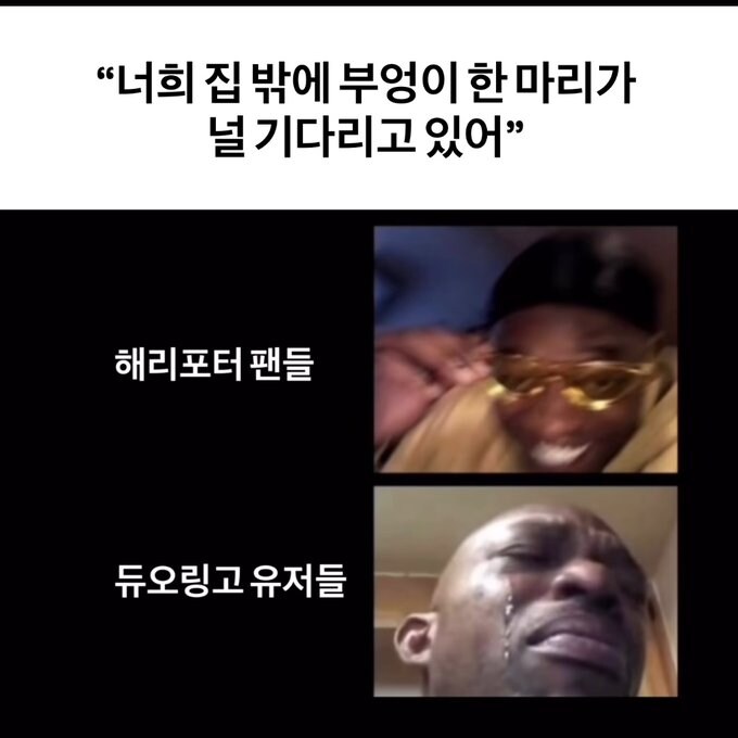 집 밖에 부엉이가 있다_1.jpg