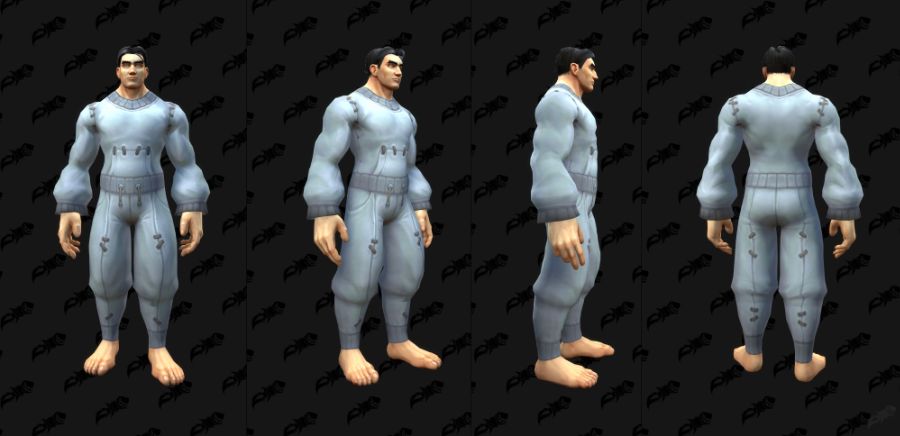 와우 8월 교역소 공개되지 않은 모든 아이템 모음_11.jpg