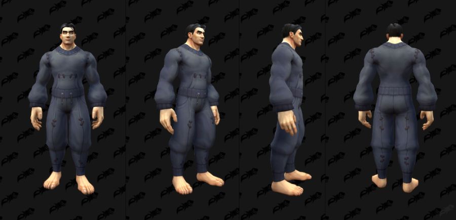 와우 8월 교역소 공개되지 않은 모든 아이템 모음_10.jpg