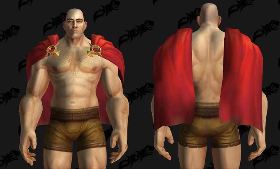 와우 8월 교역소 공개되지 않은 모든 아이템 모음_15.png