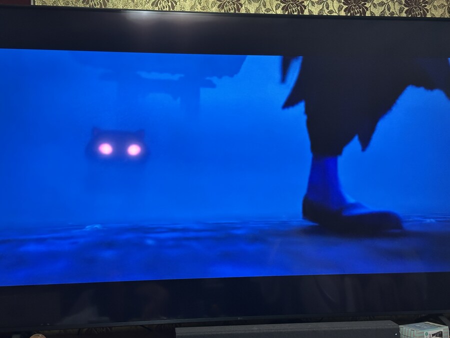 (Kpop) 이때는 존니 강력한 펫이줄 알았지…_2.jpg