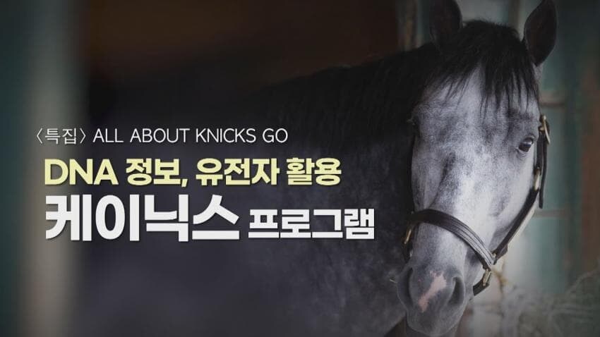 경마) 한국 합법 도박업체(?)에서 성공한 최고의 도박(?)_1.jpg