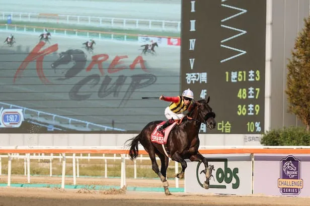 경마) 한국 경마 관련 이상한 소리중 하나_1.webp