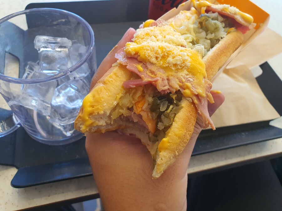 오늘 점심은 뜨거운개(hot dog)를 먹었습니다_3.jpg