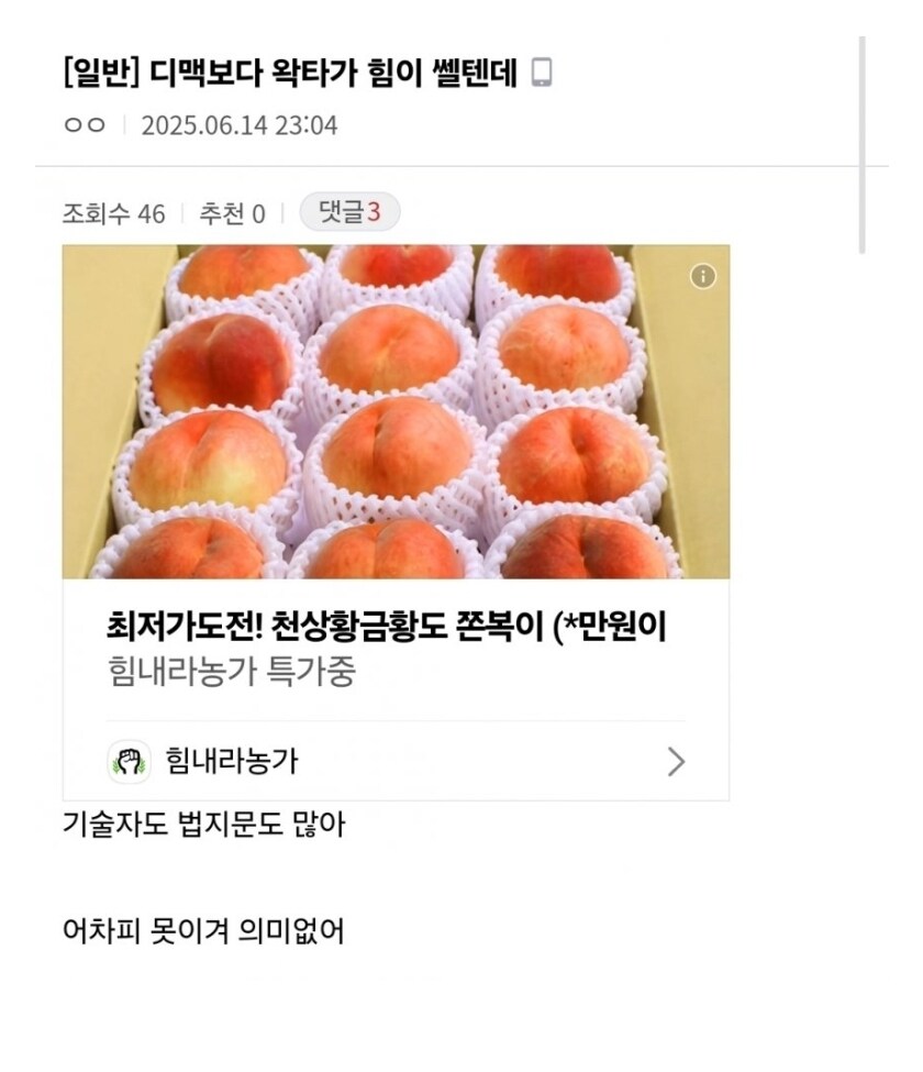ㅇㅇㄱ)인지부조화가 와버린 디시인