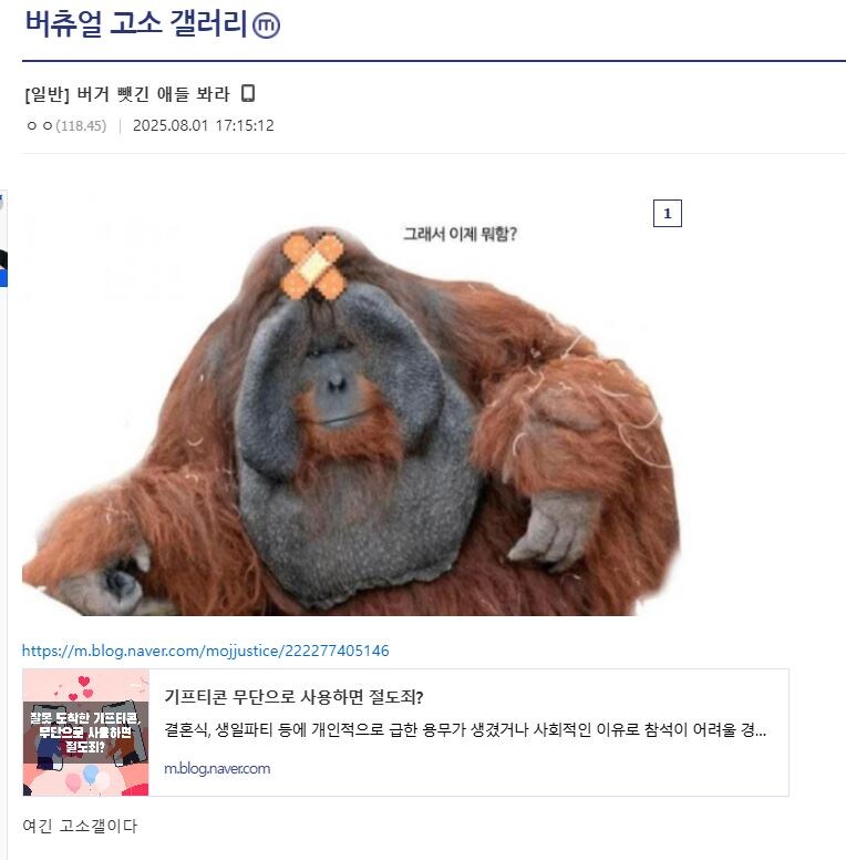 ㅇㅇㄱ)버고갤이 아니라 버거지들이었네_11.jpg