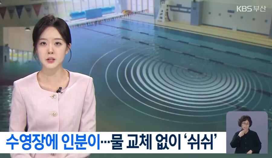 수영장 인분 테러 근황.jpg_2.png
