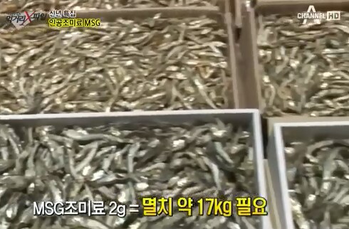지금 돌아보면 전국민이 바보가 되었던 시기_1.png
