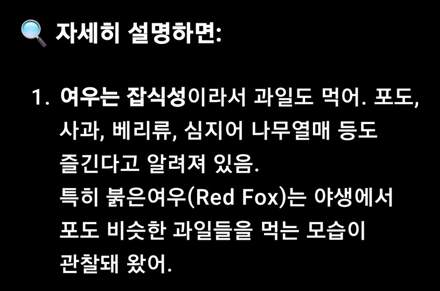 개 입장에선 여우는 호머심슨 같은 존재.jpg_2.jpg