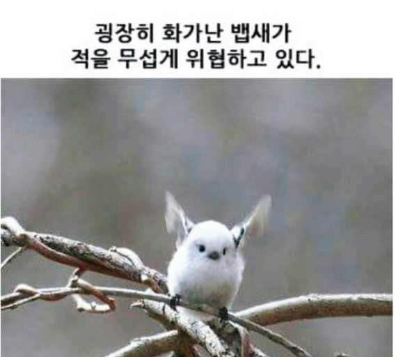 PS5 쌍검 왕참치 05'58'88 프리_1.jpg