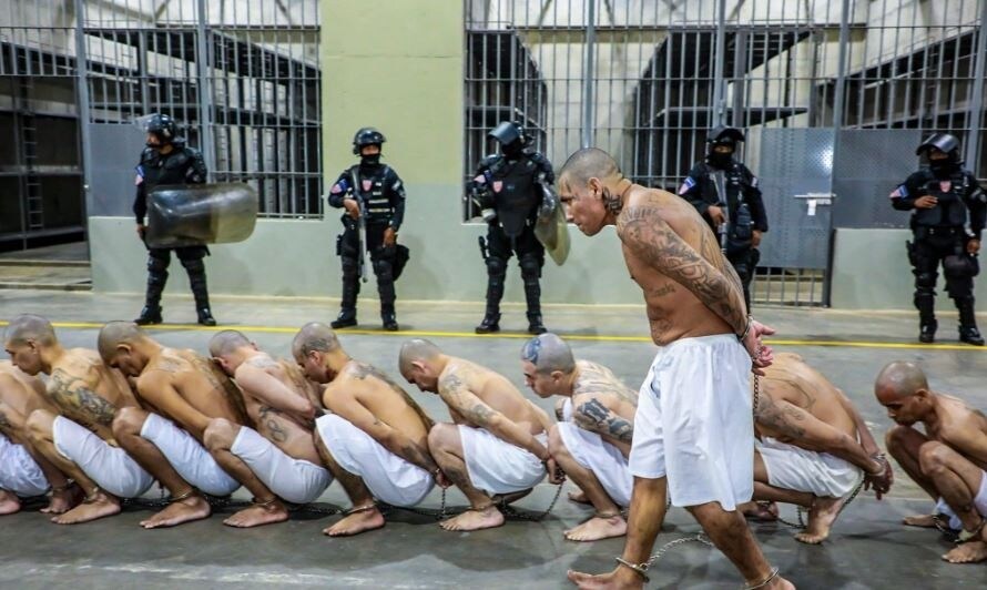 갱단들 모조리 때려잡던 엘살바도르 대통령 근황_2.jpg