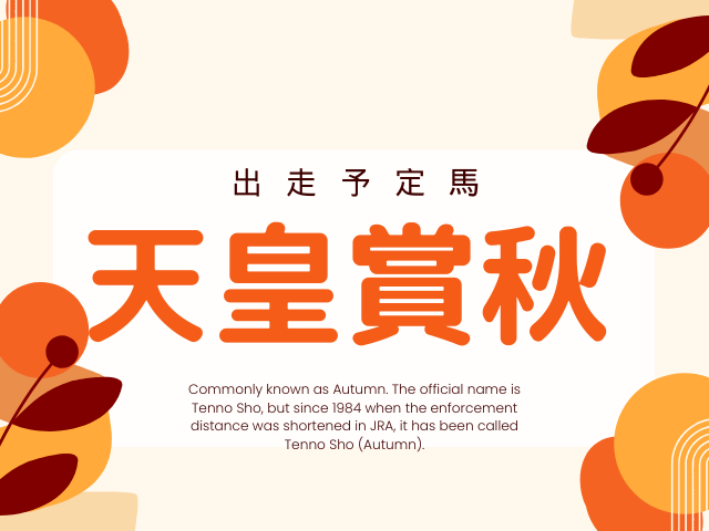 경마) / 말딸) 텐노상 가을 출주마 공개중!_1.webp