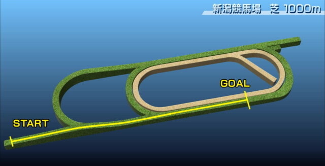 경마) / 말딸) 이번주 일(08.03)은 아이비스 서머 대시!_2.jpg