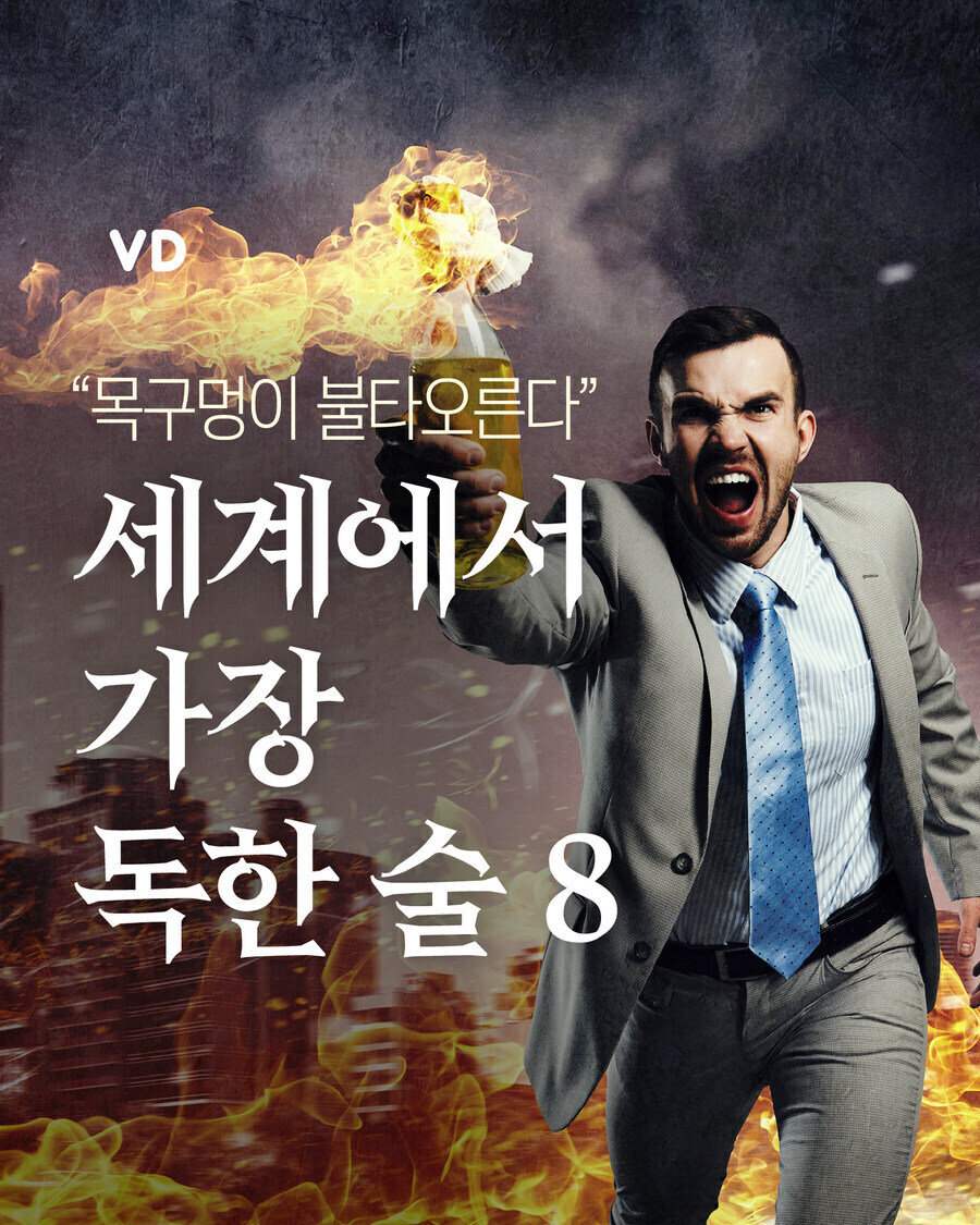 세계에서 가장 독한 술 TOP. 8_1.jpg