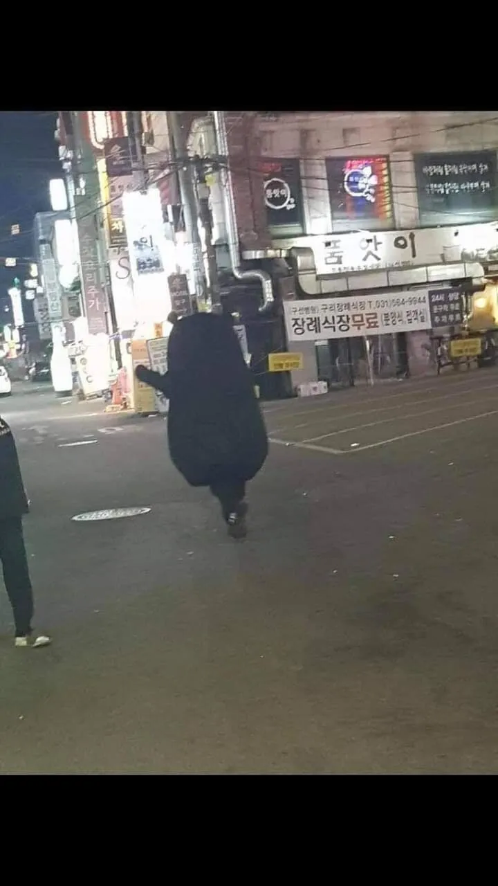 다시 봐도 레전드인 인형탈 절도 jpg._2.webp