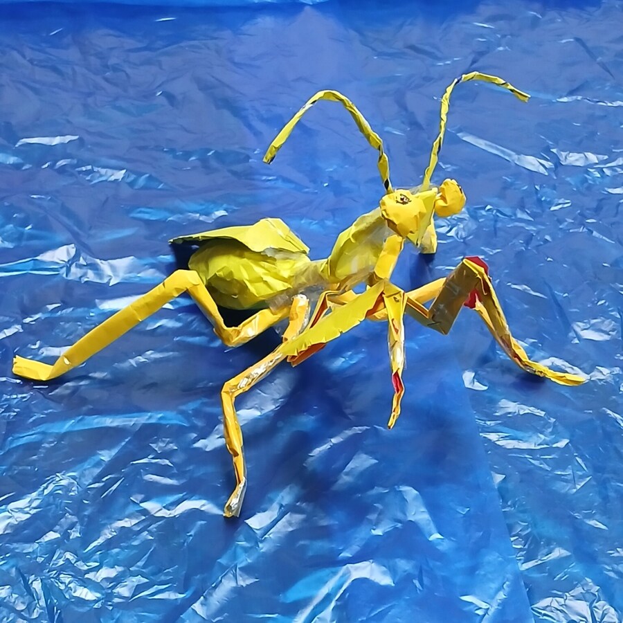 만들기) 황금 사마귀_8.jpg