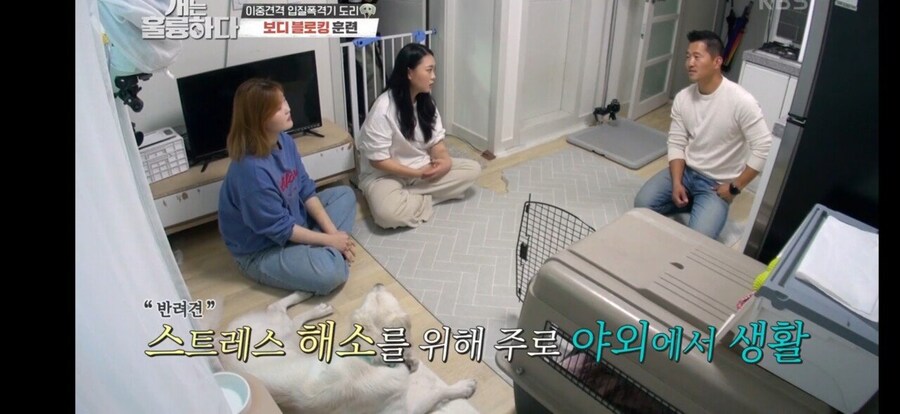 전원주택에서 개를 키우는 것에 충고하는 강형욱._55.jpg