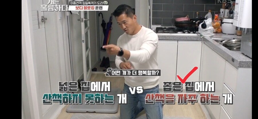 전원주택에서 개를 키우는 것에 충고하는 강형욱._58.jpg