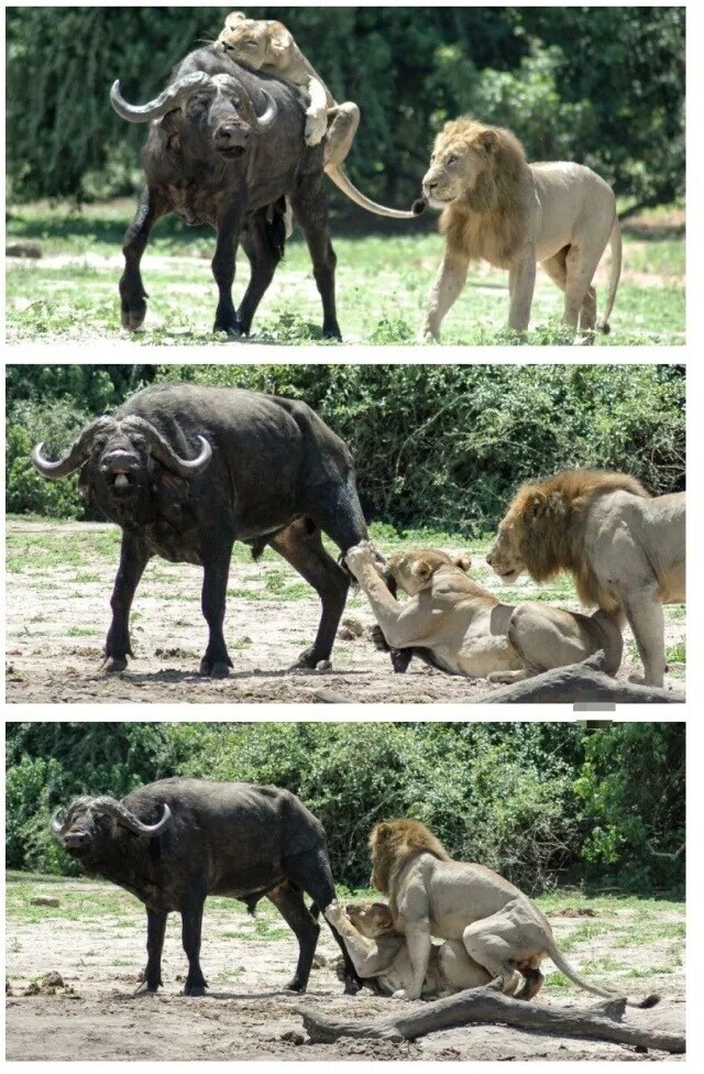 주방에서 요리하는 아내에게...(19)_1.jpg