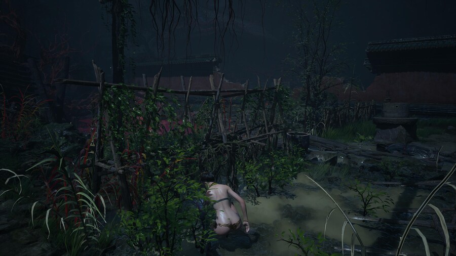 명말 공허의 깃털 - 오늘의 사진 모음_9.jpg