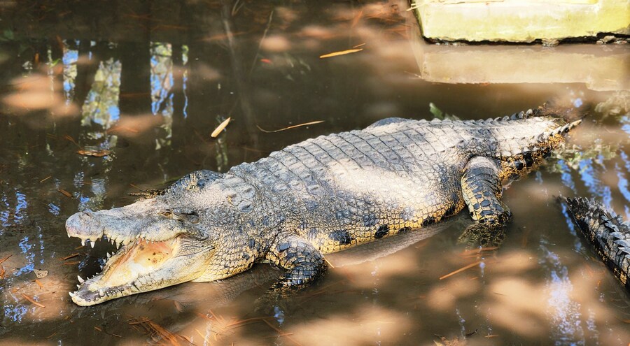 [스압]인도네시아의 경주 족자카르타 여행기-1_45.jpg