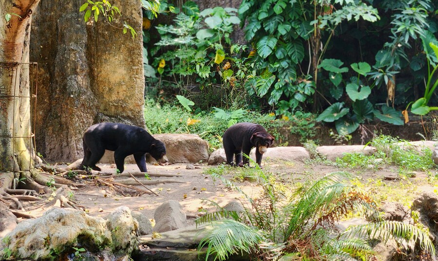 [스압]인도네시아의 경주 족자카르타 여행기-1_46.jpg