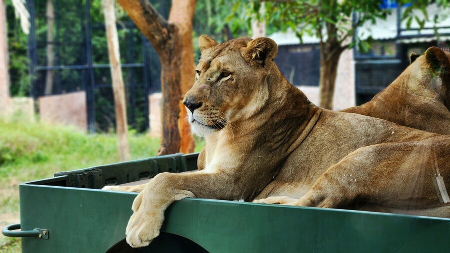 [스압]인도네시아의 경주 족자카르타 여행기-1_47.jpg