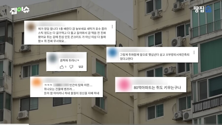 쥐 때문에 난리난 강남 아파트_3.jpg
