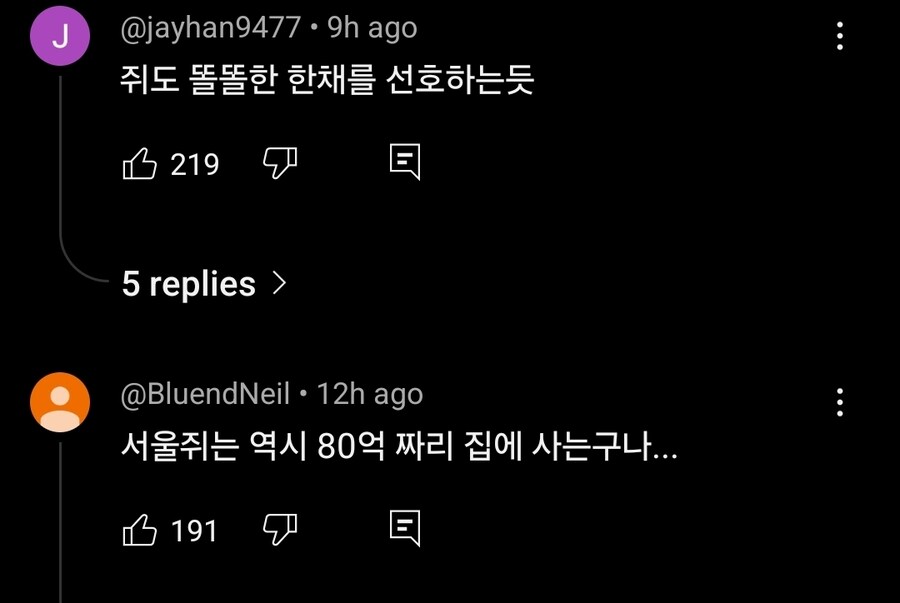 쥐 때문에 난리난 강남 아파트_8.jpg