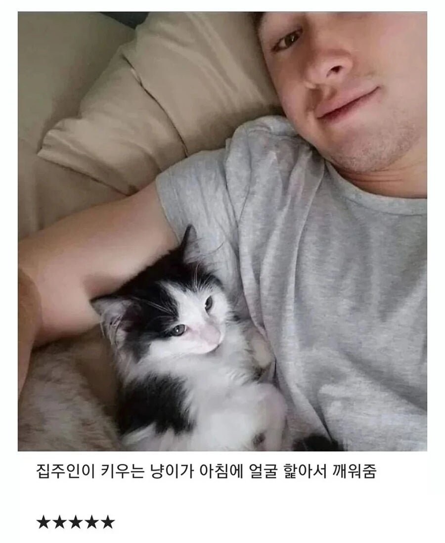에어비앤비가 5점 받은 이유_1.jpg