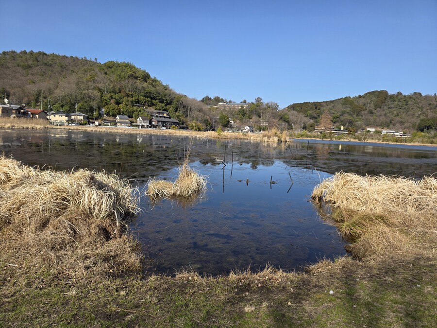교토 갔을때 찍은 심령스팟 미도로가이케 습지_3.jpg