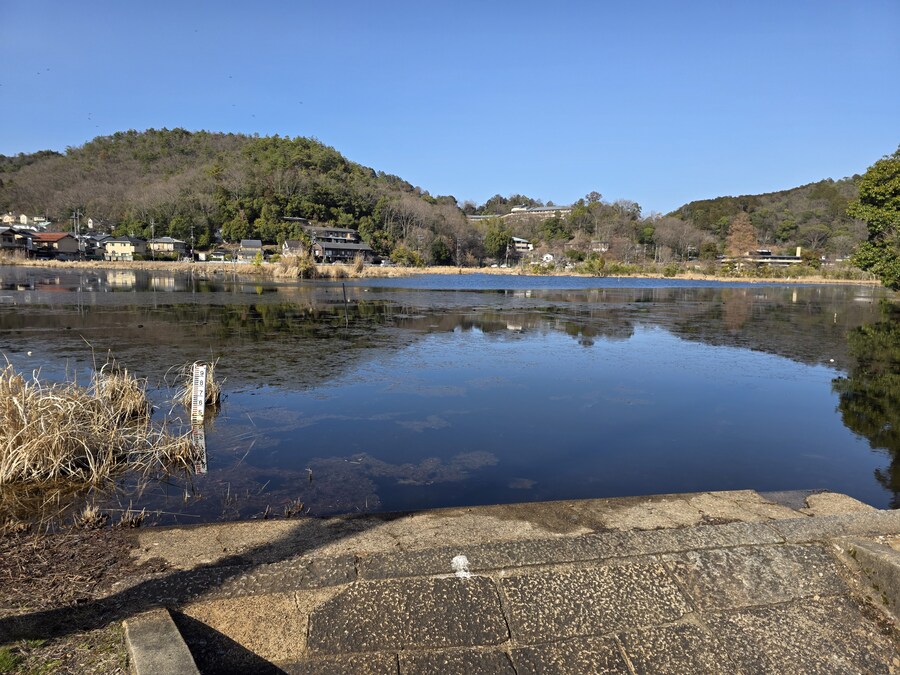 교토 갔을때 찍은 심령스팟 미도로가이케 습지_8.jpg