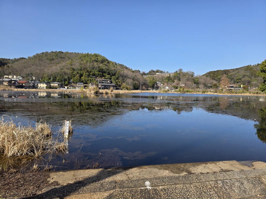 교토 갔을때 찍은 심령스팟 미도로가이케 습지_10.jpg