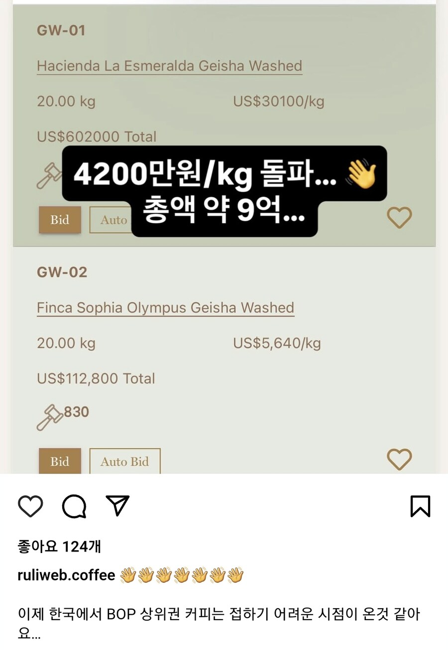 루리커피) 지금 ㄹㄹㅋㅍ가 참여중인 경매 근황_2.jpg