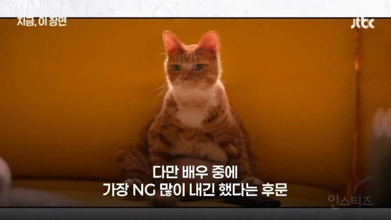 좀비딸 출연진 중 가장 NG 많이 낸 배우.JPG_8.jpg