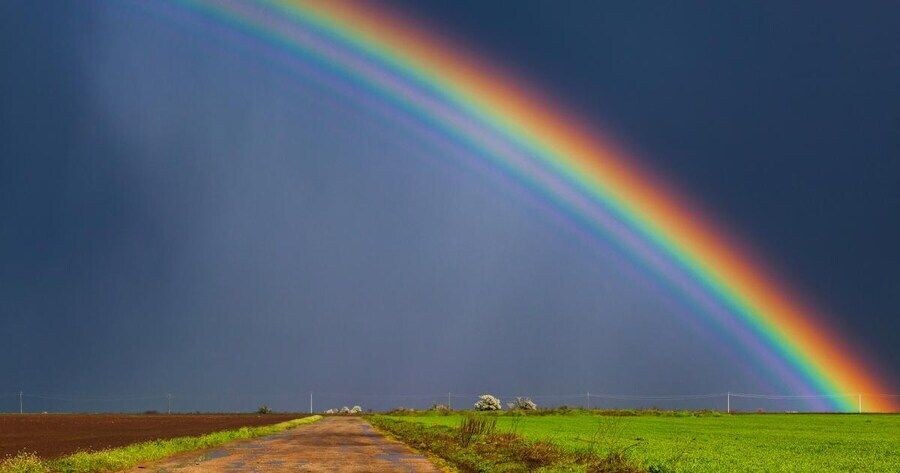 동성애자인거 티내지 마라는데.jpg_1.jpg