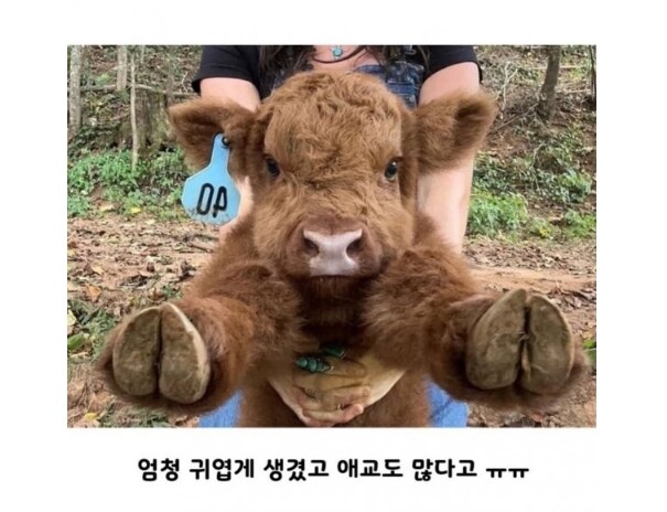 아기소의 치명적인 귀여움_1.jpg