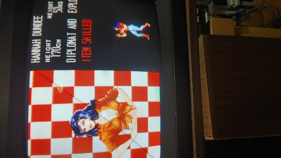 옛날에 진짜 인기 많았던 게임 소개함 ㅎㅎ_4.jpg