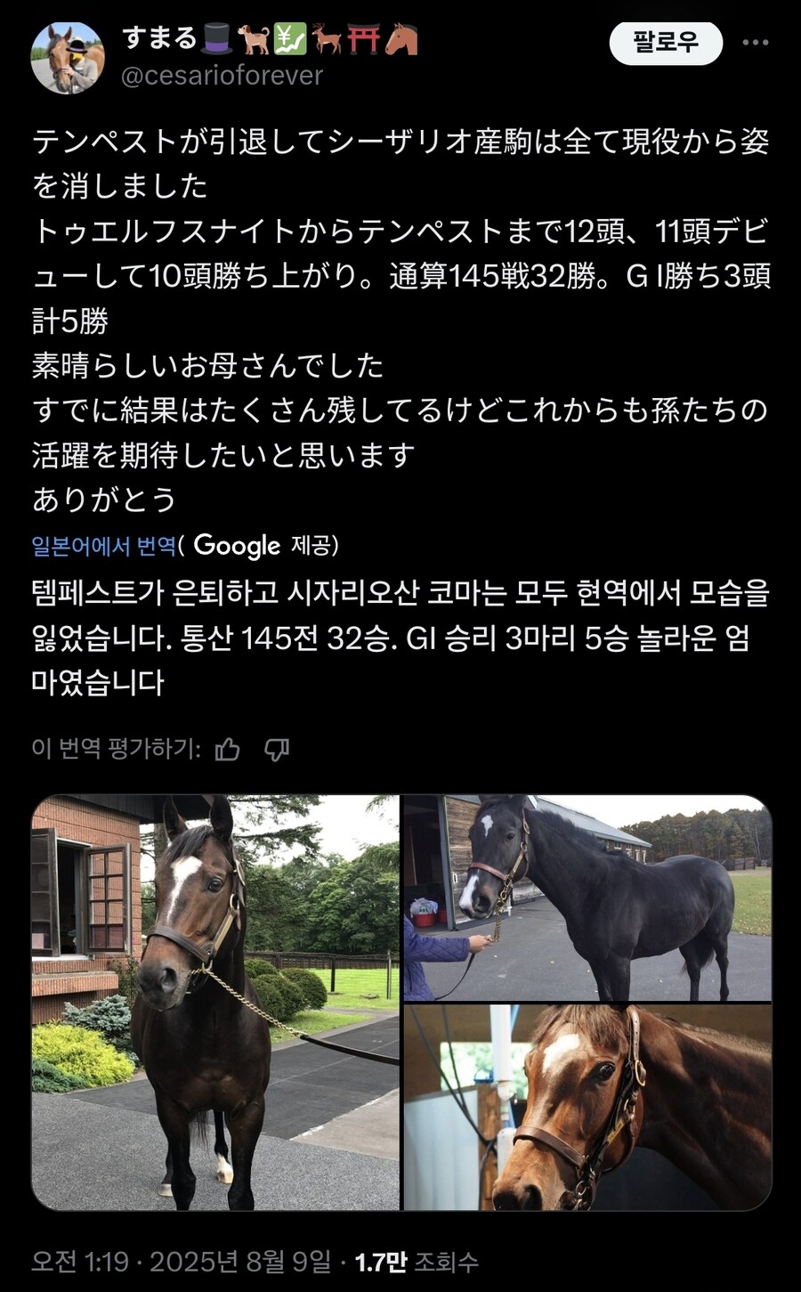 경마, 말딸 혈통) 오늘부로 주로에서 자취를 감춘 세자리오의 자마들._1.jpg