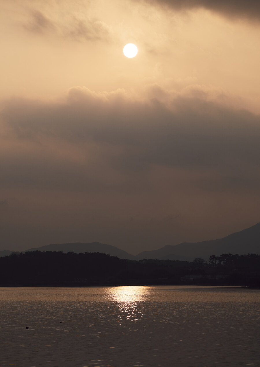 사진] 내가 찍은것들 올려봄_3.jpg