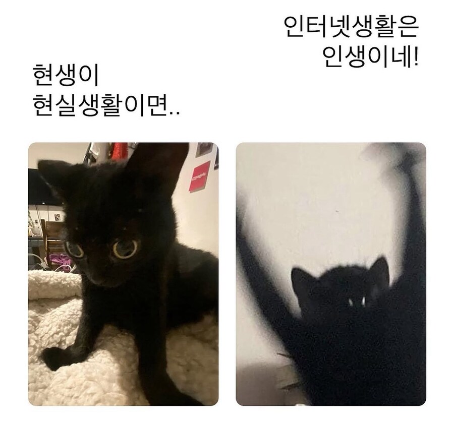 현실 생활이 현생이라면...
