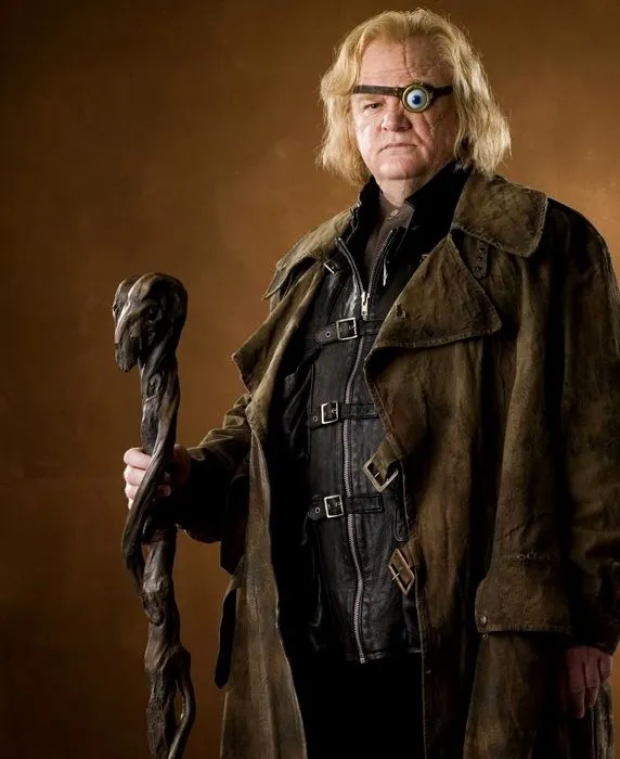 [해리포터] 유게이들은 충격먹는 사실.jpg_1.webp